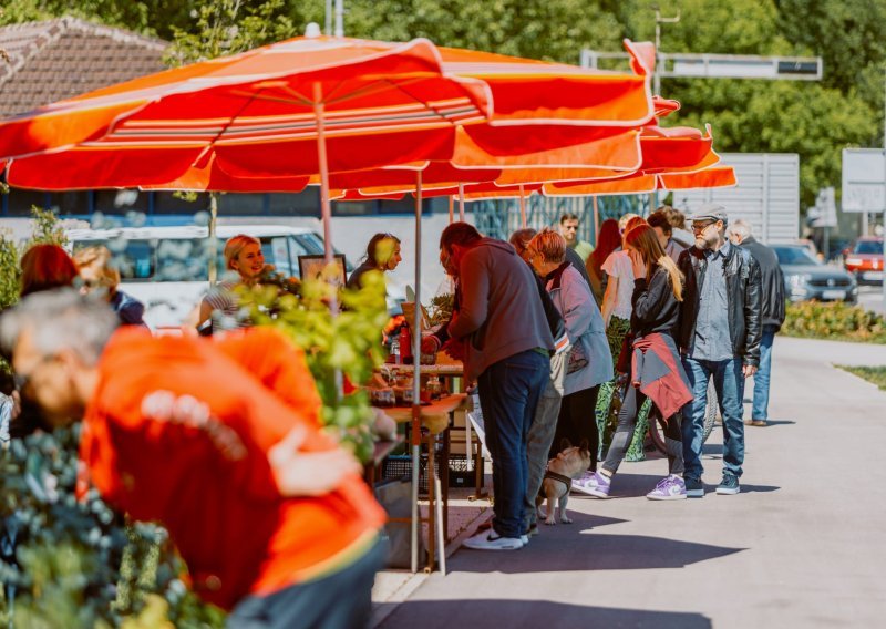 Dođite na Britanac; moći će se razmijeniti biljke u sklopu Plant Marketa