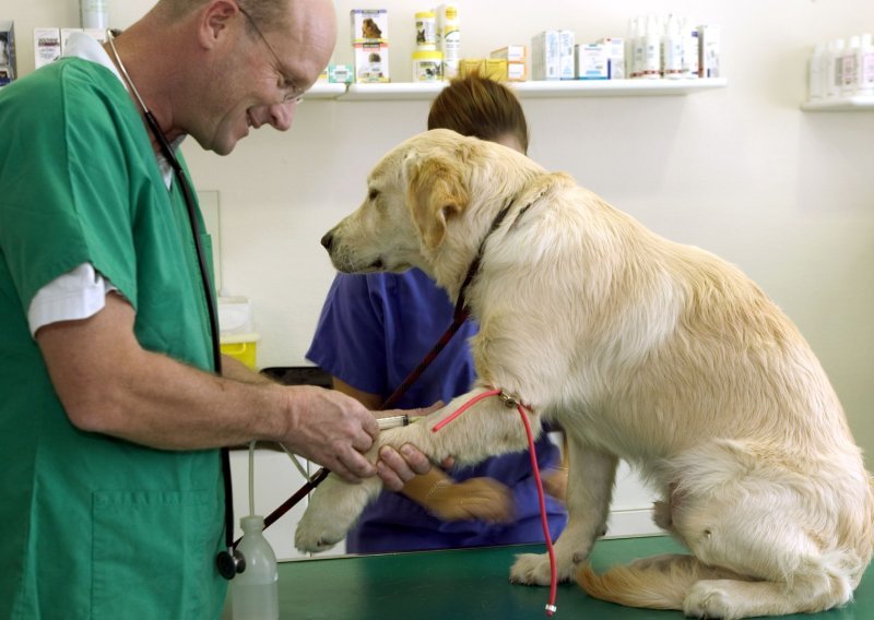 Rastu cijene veterinarskih usluga