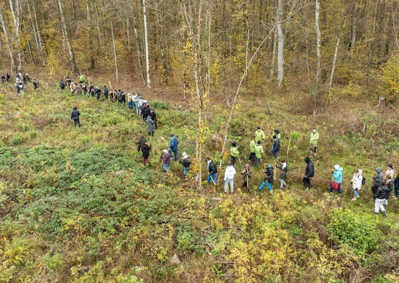 Šumoborci po 100-ti put u akciji: 8,500 volontera posadilo 156,000 novih stabala