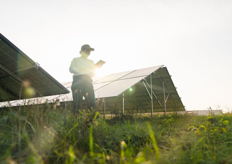 Spajanje solarnih panela s poljoprivredom daje nevjerojatne rezultate: 'Uspjeli smo izvući više iz zemlje'