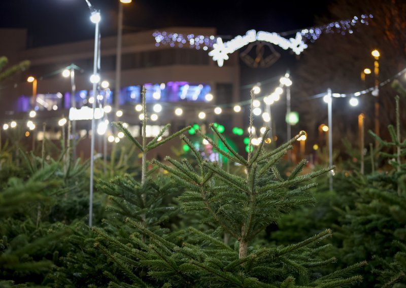 Prodano najpoznatije božićno drvce u Hrvatskoj vrijedno 1000 eura