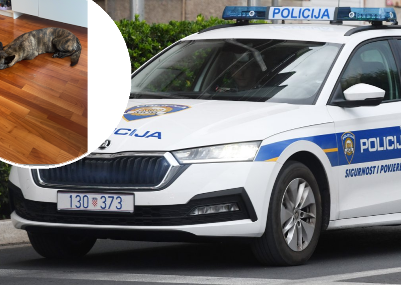 Policija moli za pomoć: Pobjegao nam je pas