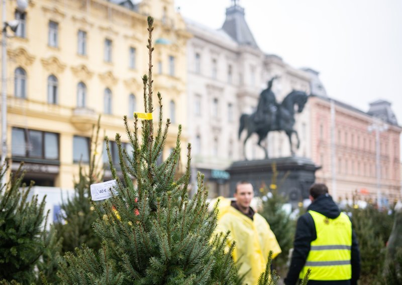 Kreće odvoz božićnih drvaca u Zagrebu: Počinje za nekoliko dana