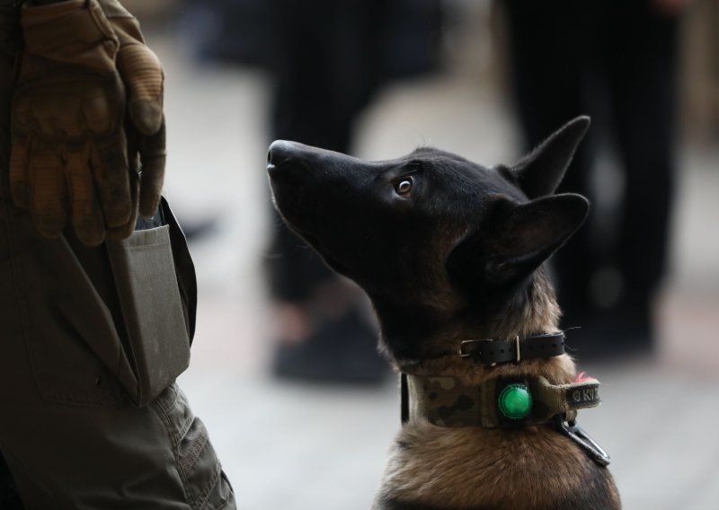 Policijski pas u autu nanjušio više od 2,1 kilograma kokaina