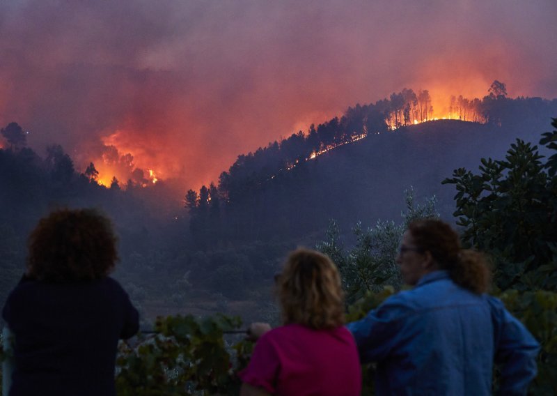 Kako su šumski požari povezani s klimatskim promjenama? Određene regije sve izloženije ovom riziku