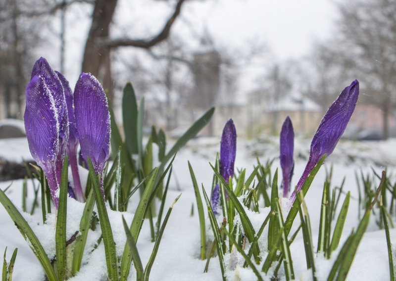 Severe Weather Europe objavio detaljna predviđanja: Ovako će izgledati proljeće