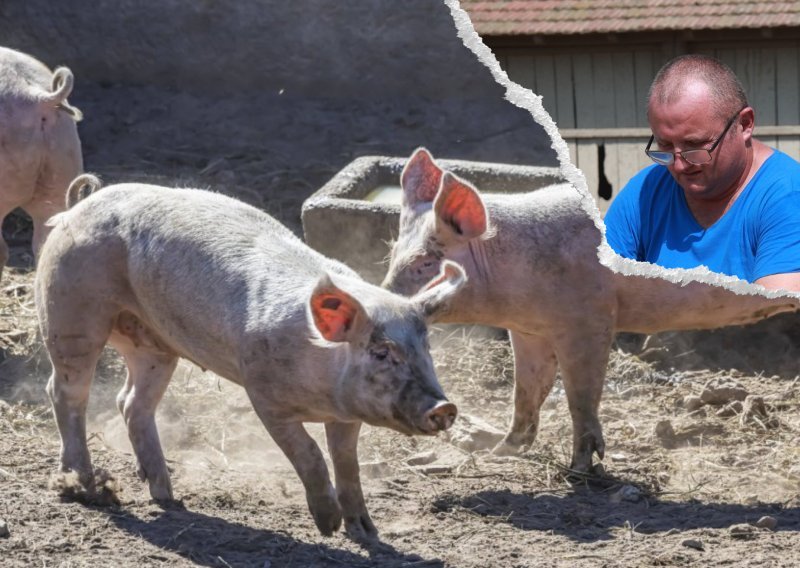 Kilogram svinjetine uskoro jedan euro! 'Dođe mi da plačem od jutra do mraka od muke'