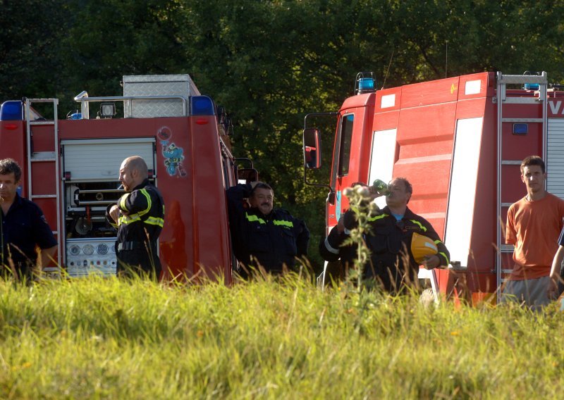 Veliki požar u podnožju Učke: Izgorjelo dvadesetak hektara raslinja