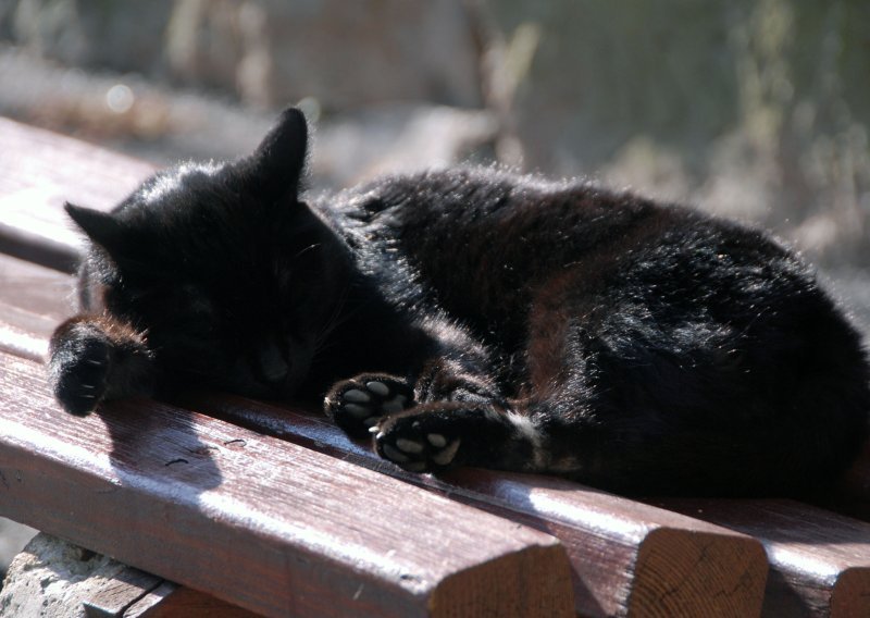 Vakula najavio obilje sunca i velik skok temperature: Evo gdje će skočiti i preko 20 °C