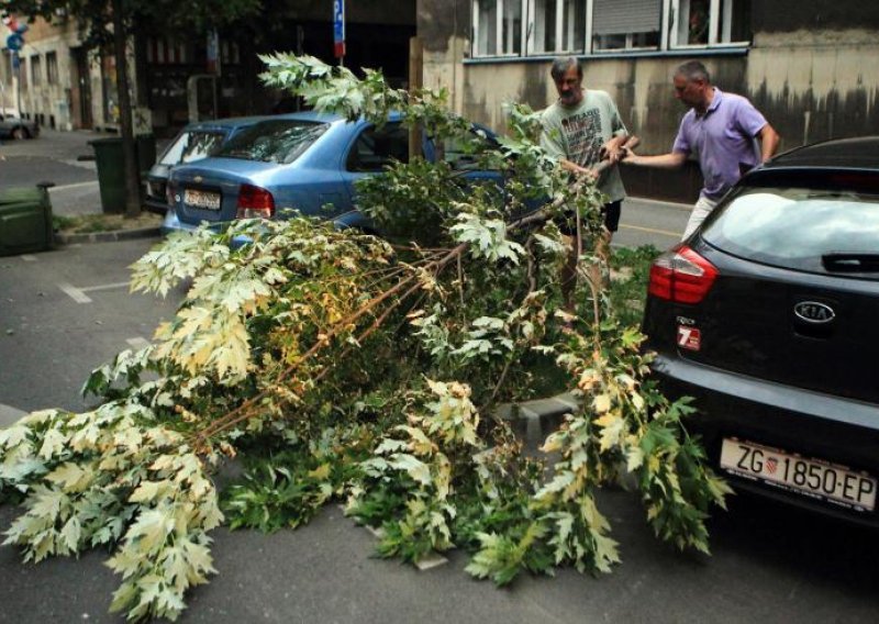 Olujni vjetar rušio stabla i krovove