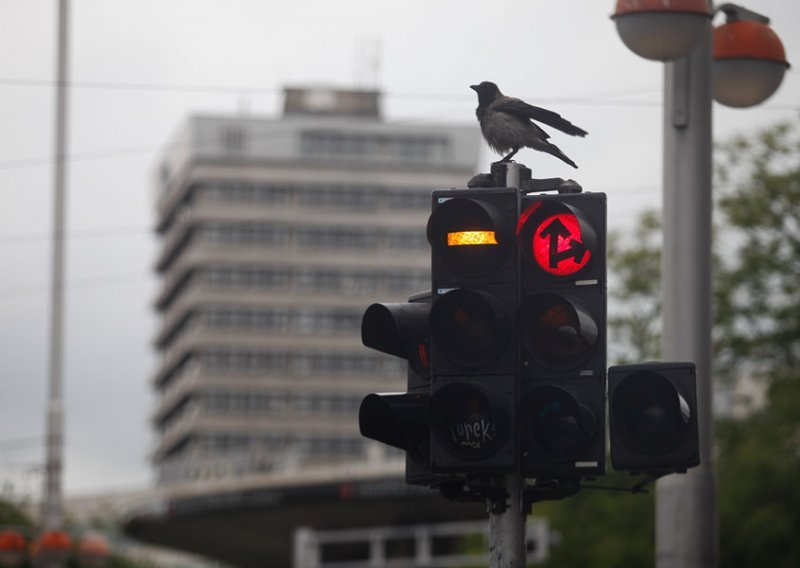 Zemlja bez ugleda, Vlada bez iluzija