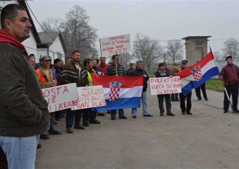 Zbog predstečajne nagodbe ugroženo 25.000 svinja