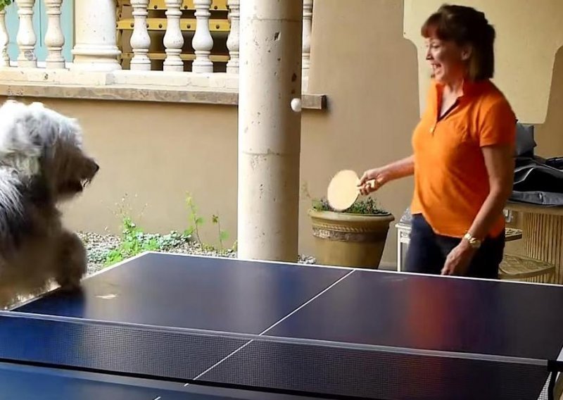 Ovi psi obožavaju ping-pong