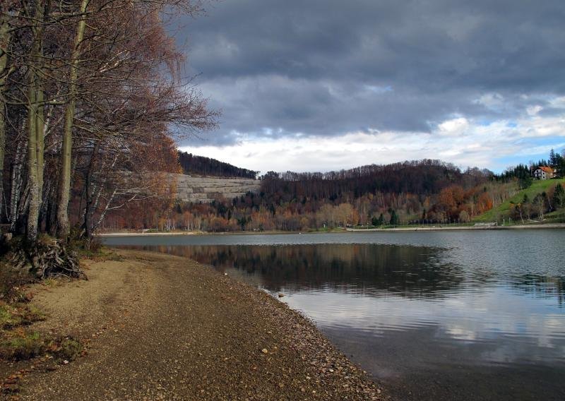 U šumi kod Fužina poginuo radnik