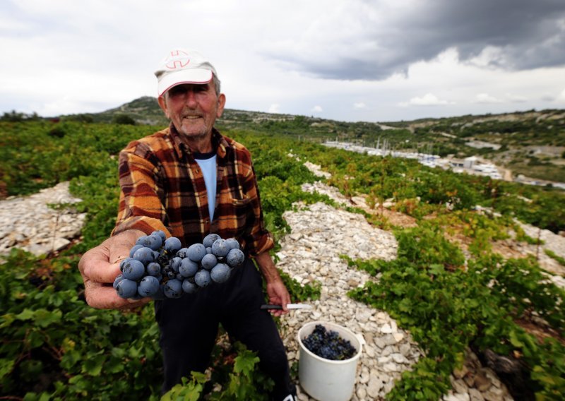 Vladin fušerski udar na rad u fušu