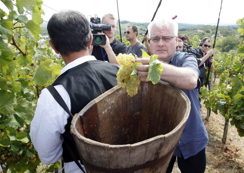 Pogledajte Josipovića u (ne)obranom grožđu