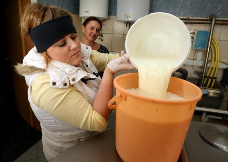 'Isporuku mlijeka obustavilo tek 10 posto proizvođača'