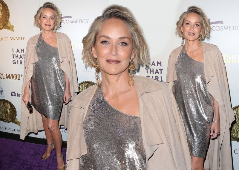 Gdje se pojavi Sharon Stone, svi padaju u drugi plan