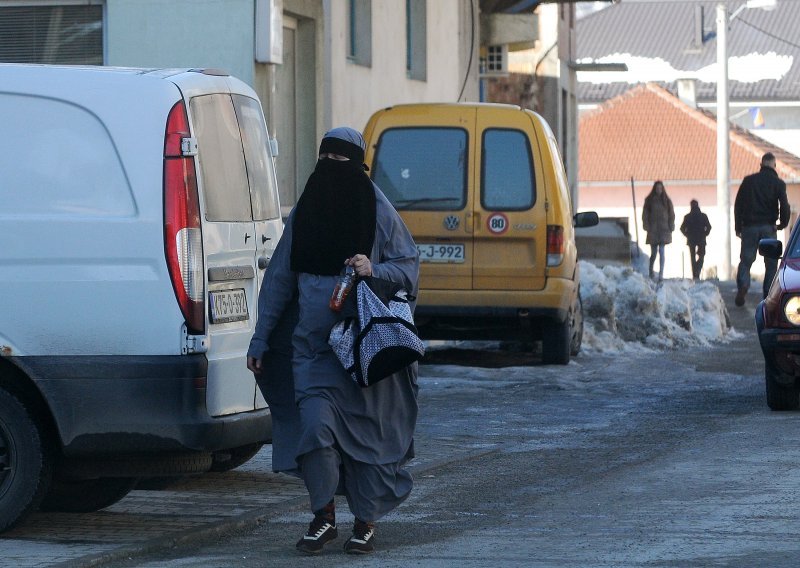 Karajiću godina zatvora zbog pridruživanja Islamskoj državi