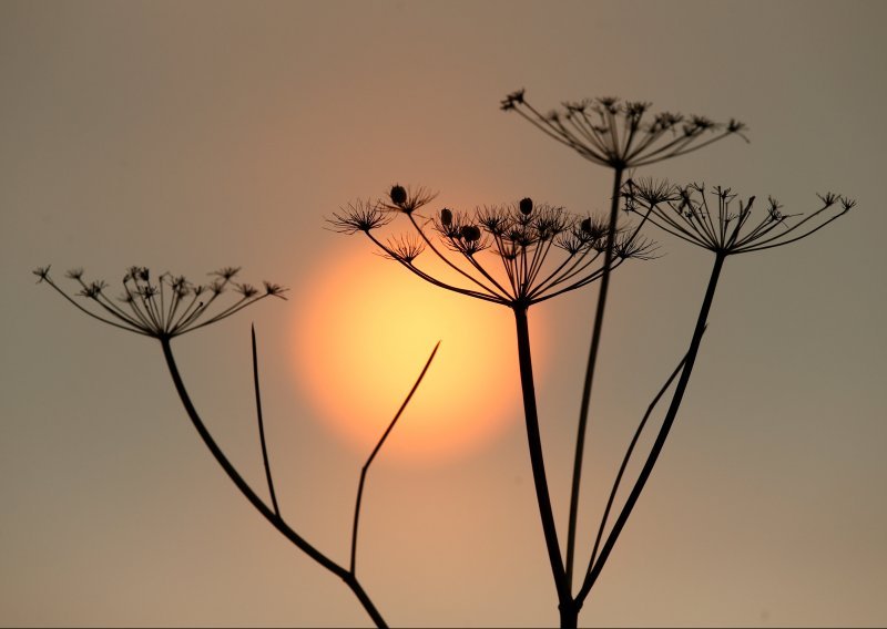 Ovako će Sunce jednoga dana uništiti Zemlju