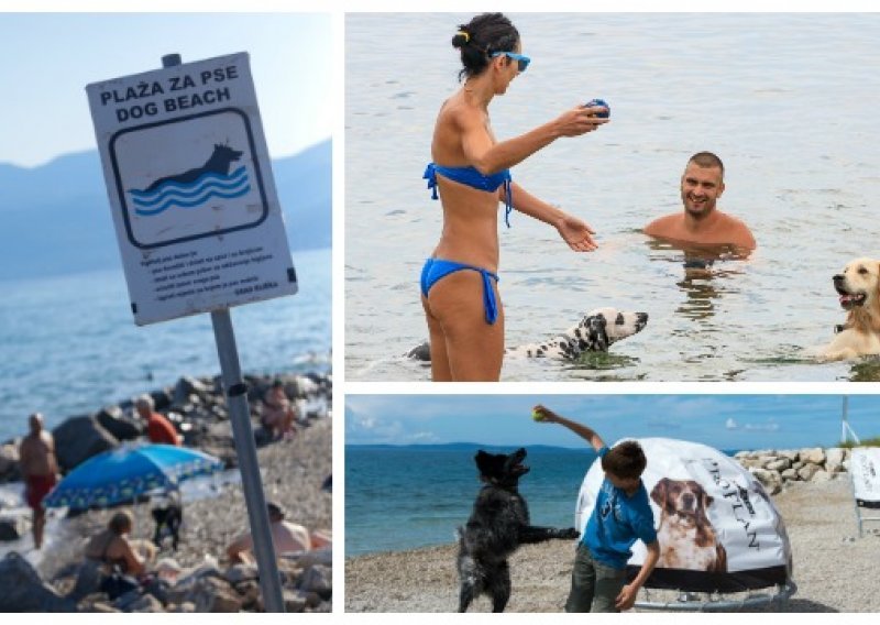 Kamo sa psom za vrijeme ljetovanja? Na plažu!