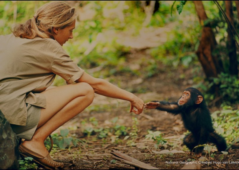 Pogledajte Jane, premijerno na National Geographic-u