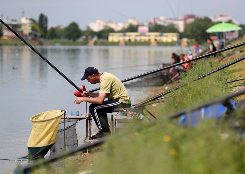 Na Jarunu nema pomora ribe