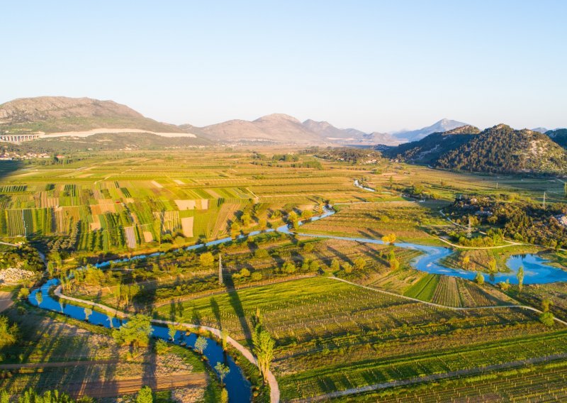 Vrgorac i zagrebački Agronomski fakultet zajednički štite autohtone sorte vina