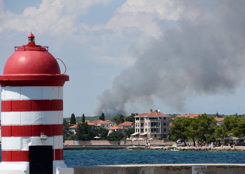 Gori borova šuma na predjelu Kožino u Zadarskoj županiji