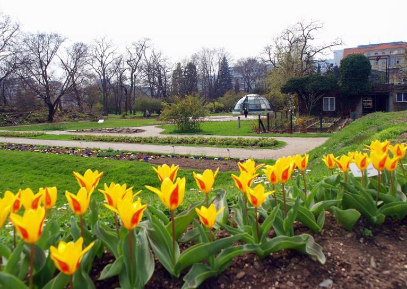 Milijunski Zagreb ima botanički vrt iz vremena kad je bio gradić