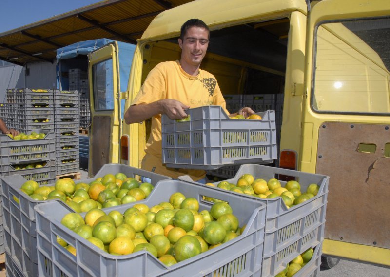 Zaštićeni neretvanska mandarina i baranjski kulen