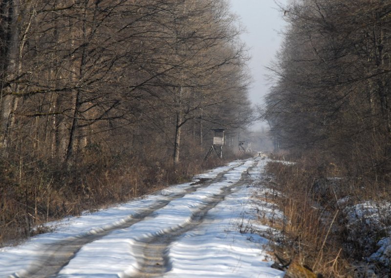 Hrastovim šumama Turopolja do slavoluka Vrata od krča