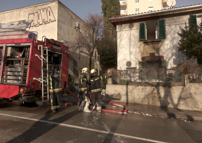 Na Cresu prva međunarodna vježba gašenja šumskih požara u EU