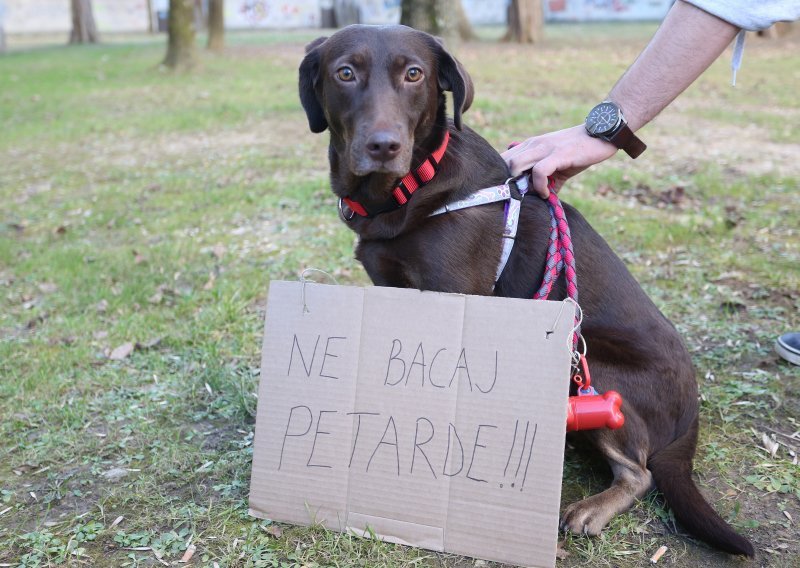 Poziv Prijatelja životinja: Potpišite peticiju za potpunu zabranu petardi