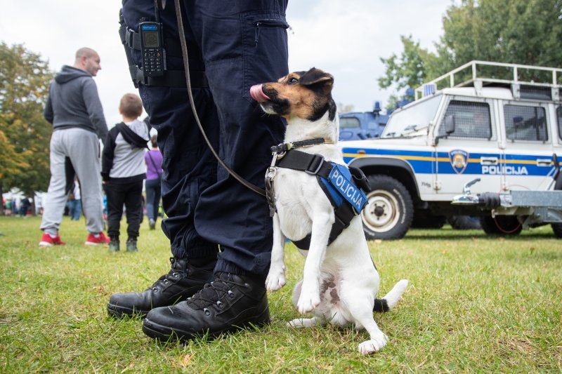 Dan policije