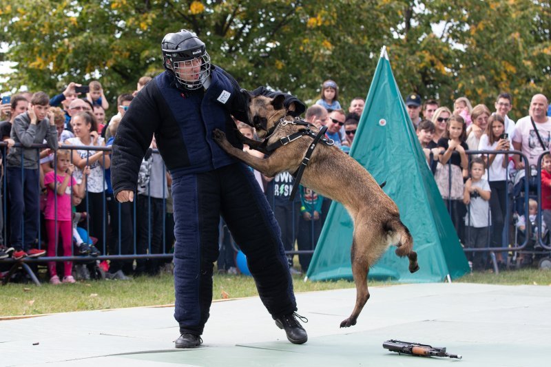 Dan policije