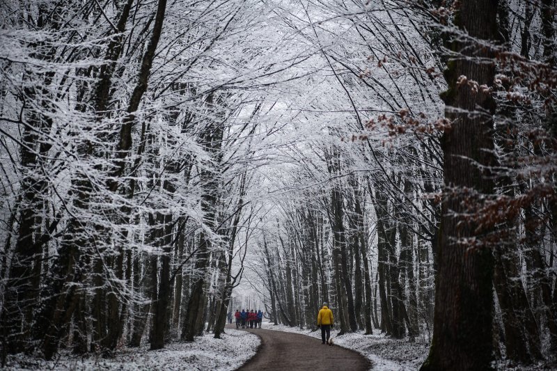 Prvi ovogodišnji snijeg zabijelio je Maksimir