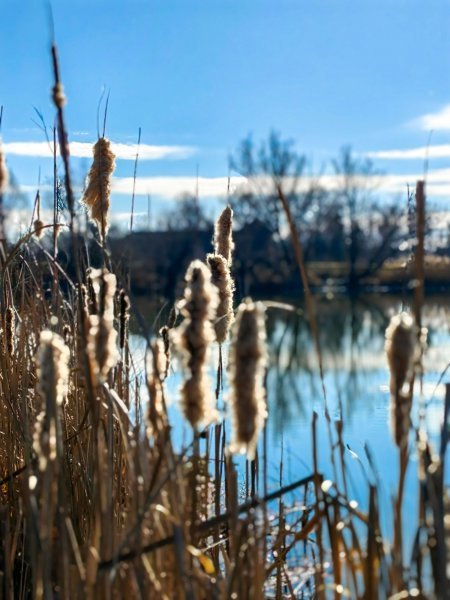 Serija fotografija 'Boje'