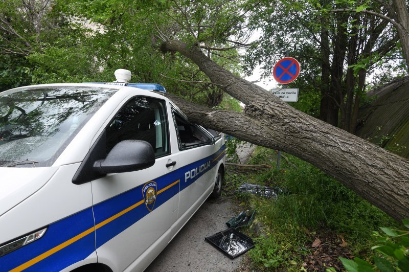 Šibenik: Jak vjetar srušio veliko drvo i razbio policijski kombi