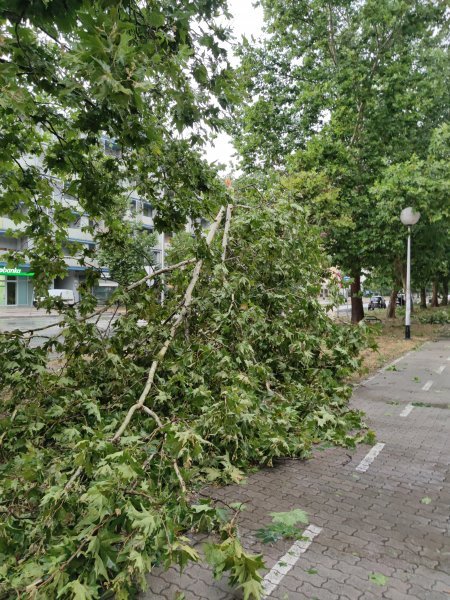 Posljedice nevremena u kvartu Središće