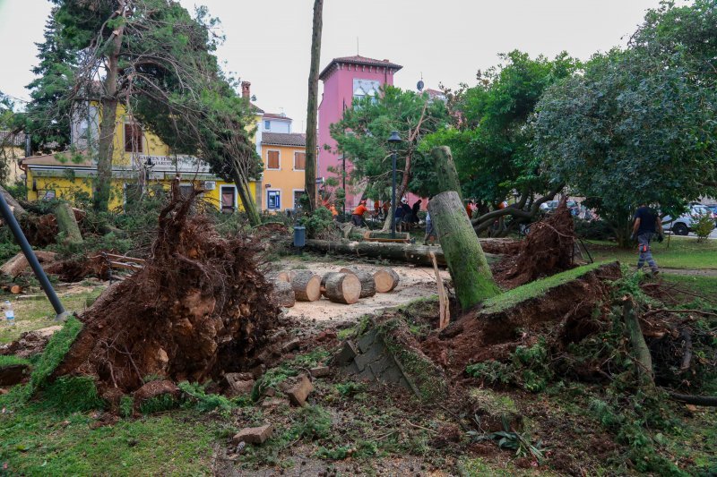 Jak vjetar popraćen obilnom kišom poharao Novigrad i okolicu