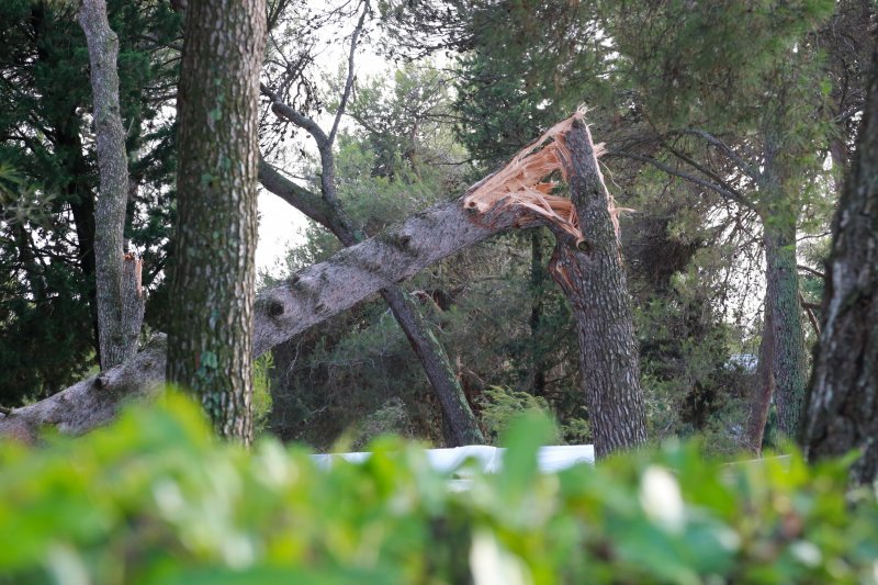 Jak vjetar popraćen obilnom kišom poharao Novigrad i okolicu