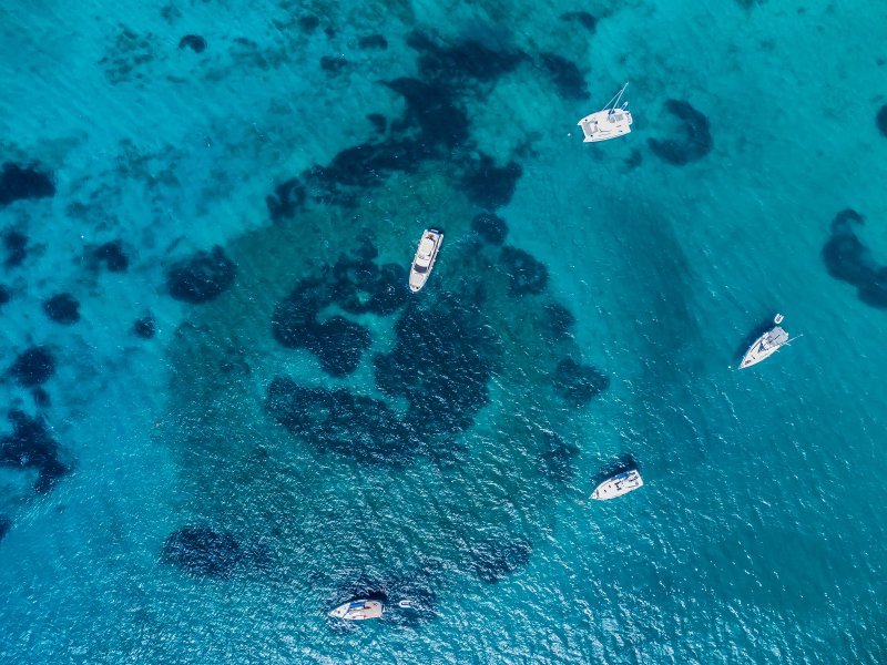 Drevna cesta kod Korčule