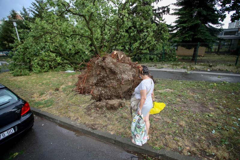 Oluja u Zagrebu 19. srpnja 2024.