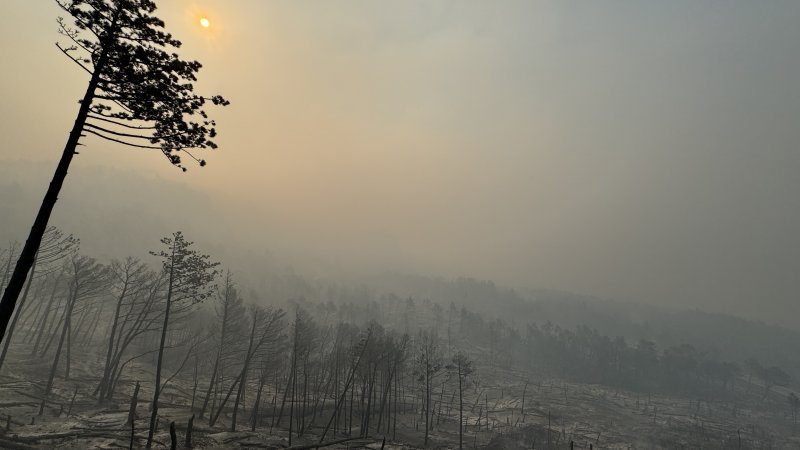 Apokaliptične fotografije uništene šume parka Biokovo