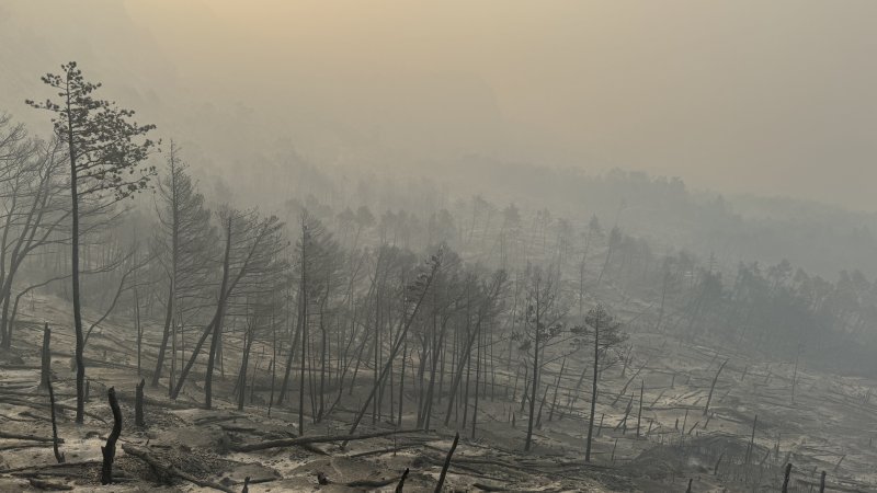 Apokaliptične fotografije uništene šume parka Biokovo