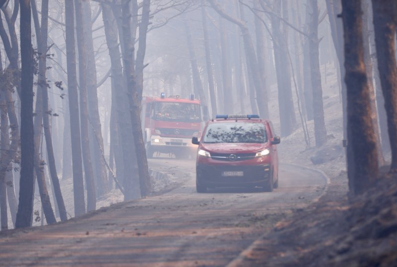 Apokaliptične fotografije uništene šume parka Biokovo