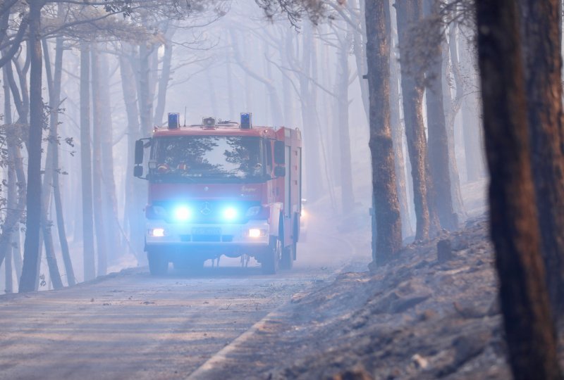 Apokaliptične fotografije uništene šume parka Biokovo