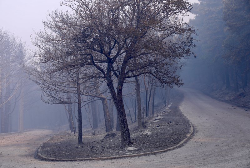 Apokaliptične fotografije uništene šume parka Biokovo