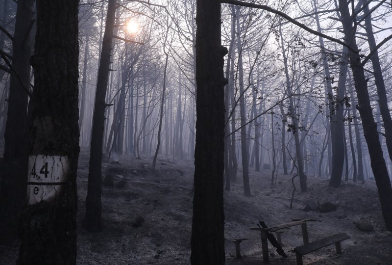 Apokaliptične fotografije uništene šume parka Biokovo